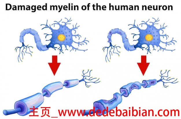 人脑内存在多少突触