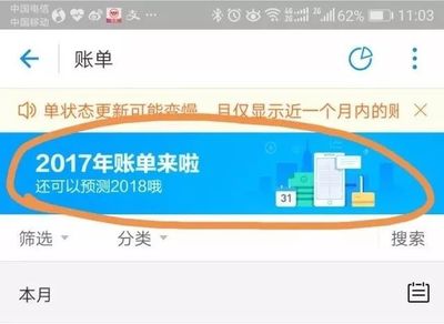 2017年初多少人 使用支付宝