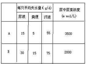 每天多少动物死亡