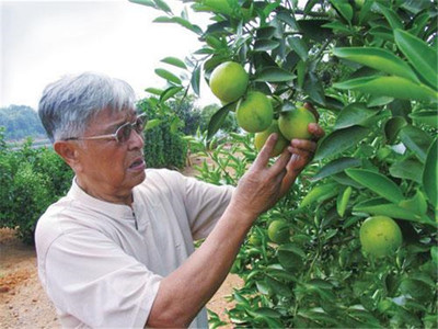 褚时健保了多少领导