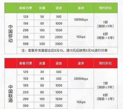 4g流量一个月用多少