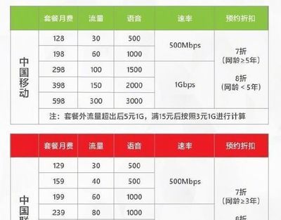 4g流量一个月用多少