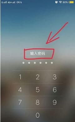 怎么看自己手机的密码是多少钱