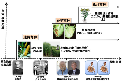 转基因工具多少钱