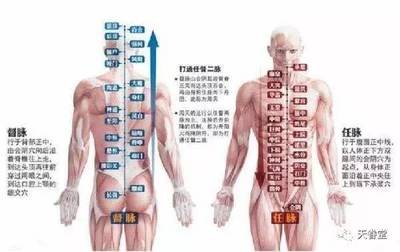 打通任督二脉的有多少人