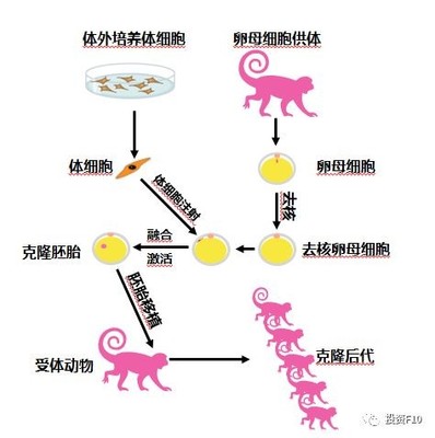 中国科学家知多少