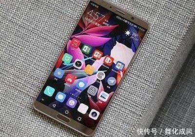 mate20占比多少