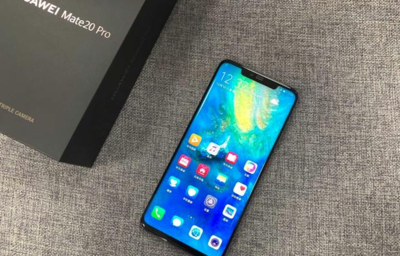 mate20占比多少