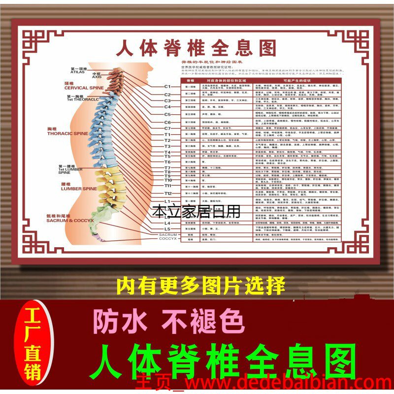 突出将寸有多少厘米