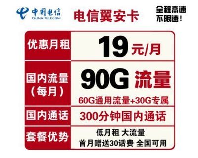 电信300mb流量多少钱