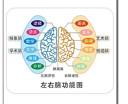 脑象图测评准确率多少