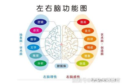 脑象图测评准确率多少