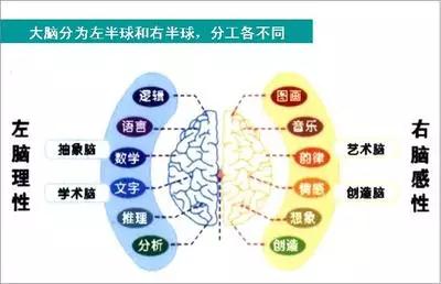 脑象图测评准确率多少