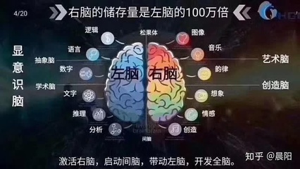 人类只开发了潜能多少钱