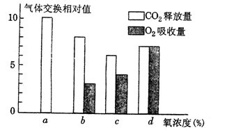 植物能造多少氧气