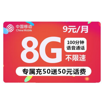 十元8g流量是多少