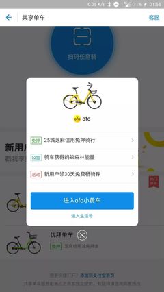 ofo没锁车扣多少信用