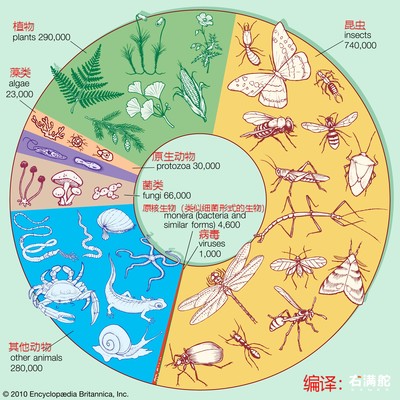 人类占已知生物的多少