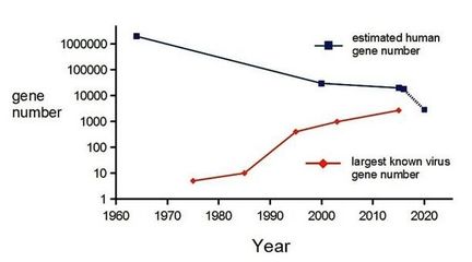 人类占已知生物的多少