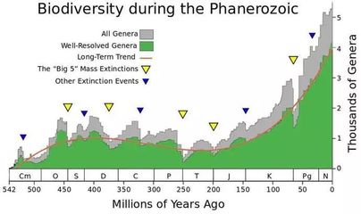 人类占已知生物的多少