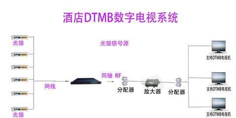 白百何损失多少钱